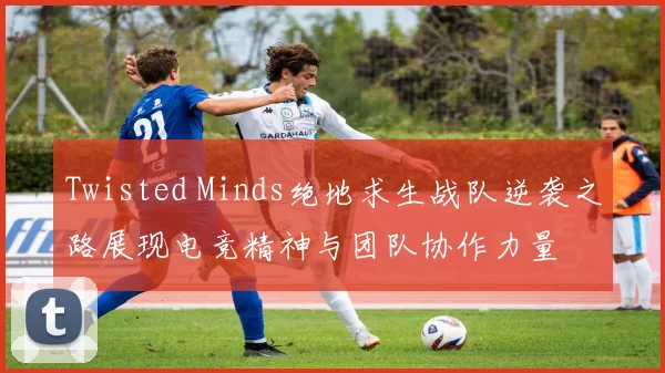 Twisted Minds绝地求生战队逆袭之路展现电竞精神与团队协作力量