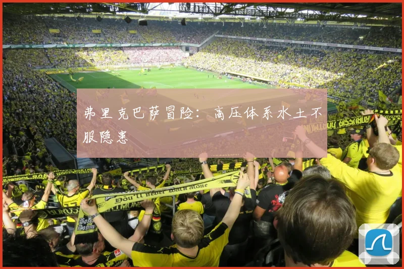弗里克巴萨冒险：高压体系水土不服隐患