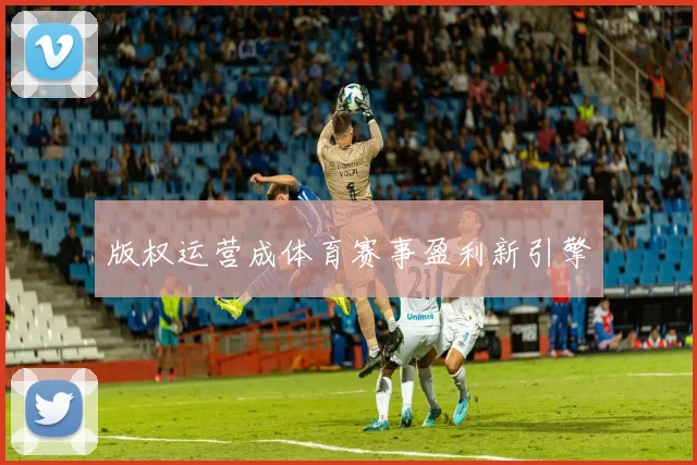 版权运营成体育赛事盈利新引擎