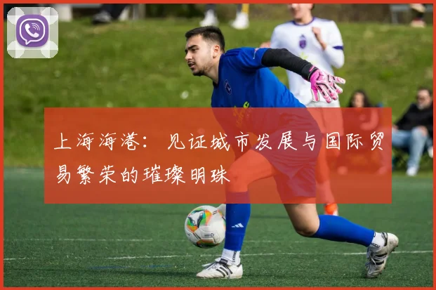 上海海港：见证城市发展与国际贸易繁荣的璀璨明珠